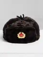 Тёмно-коричневый шапки Ушанки/ Будёновка/ Солдатская/ Ушанка (Разные цвета) с кокардой, СССР, РФ