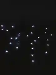 Белый новогодняя гирлянда "Бахрома", уличная