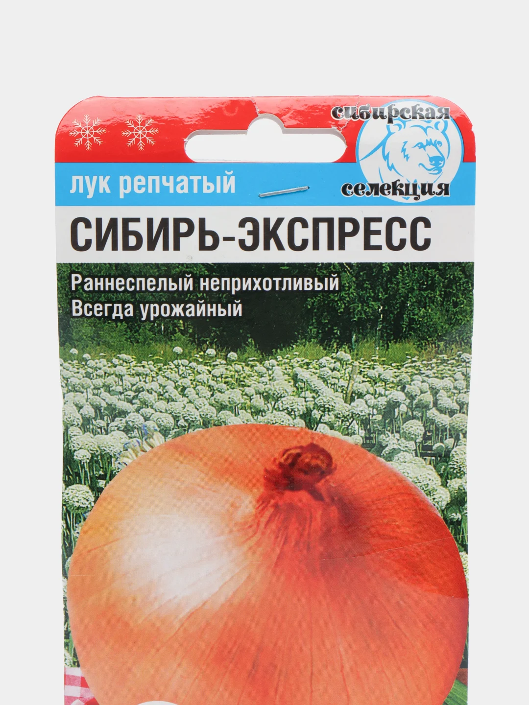 Лук "Сибирь Экспресс", семена
