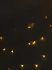 Желтый гирлянда-штора светодиодная, 2 цвета, удлинитель