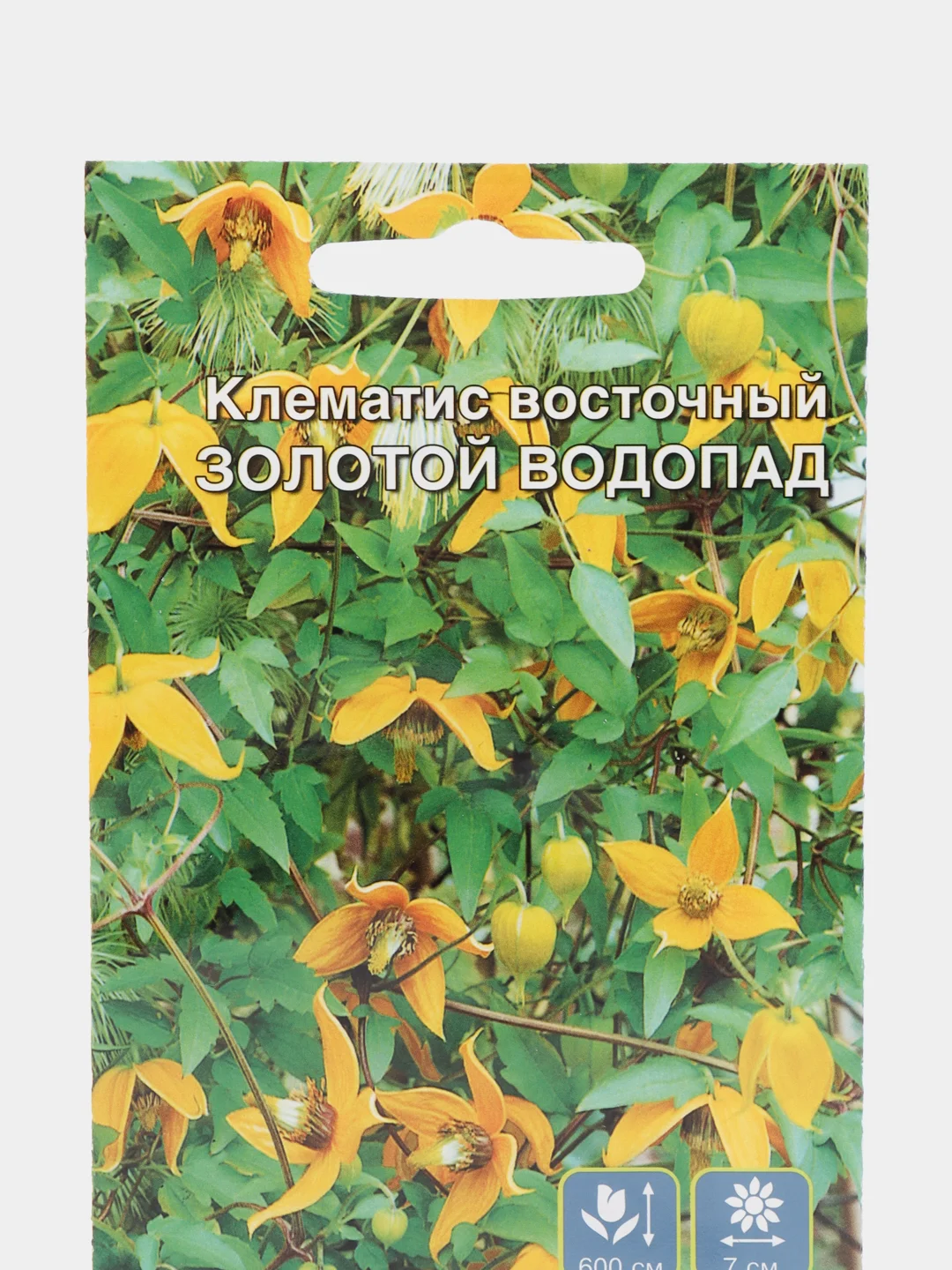 Семена цветов Клематис "Золотой водопад"