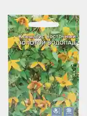 Семена цветов Клематис "Золотой водопад"