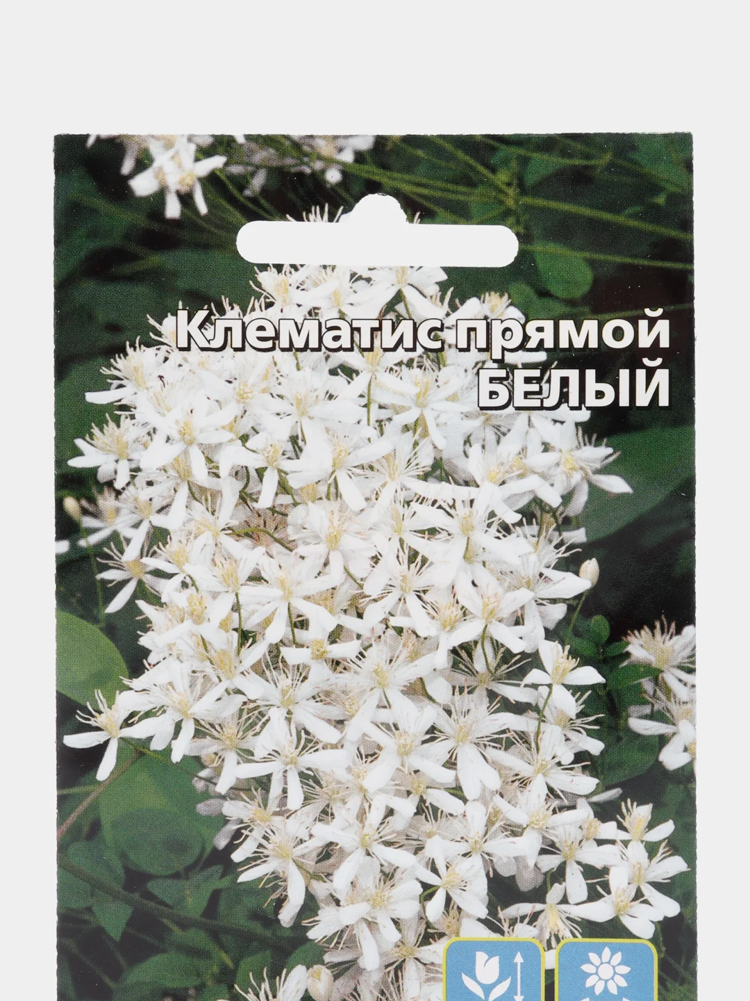 Клематис Белый (семена,цветы)