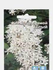 Клематис Белый (семена,цветы)