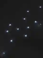 Гирлянда-штора светодиодная