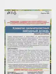 Клематис Звездный дождь, семена, цветы