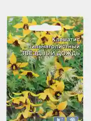 Клематис Звездный дождь, семена, цветы