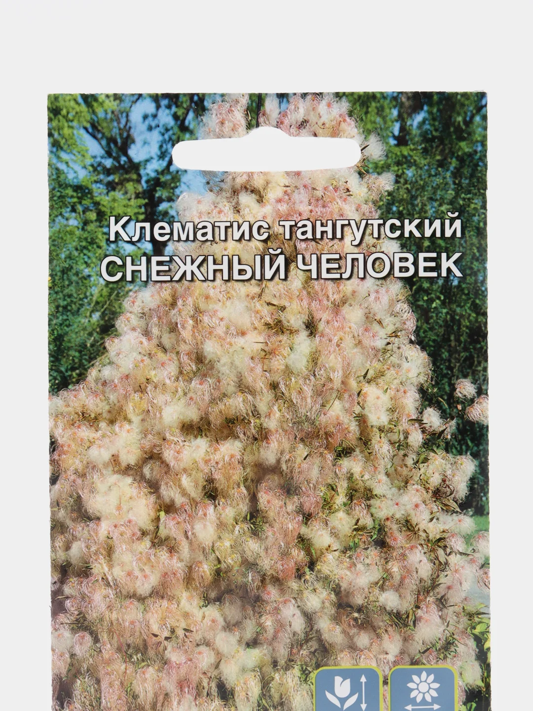 Семена цветов Клематис "Снежный человек"