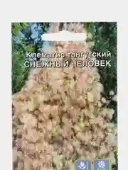 Семена цветов Клематис "Снежный человек"