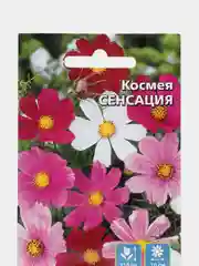 Семена цветов Космея "Сенсация"