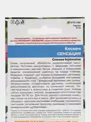 Семена цветов Космея "Сенсация"