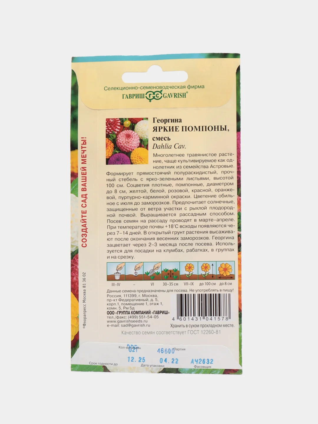 Семена Георгина "Яркие помпоны", Гавриш