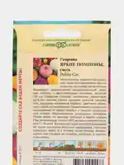 Семена Георгина "Яркие помпоны", Гавриш