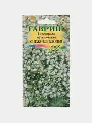 Семена,Гипсофила снежные хлопья,Гавриш