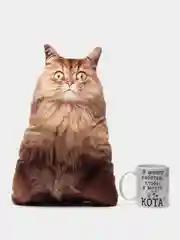 Рыжий подарочный набор Кот (кружка+подушка)