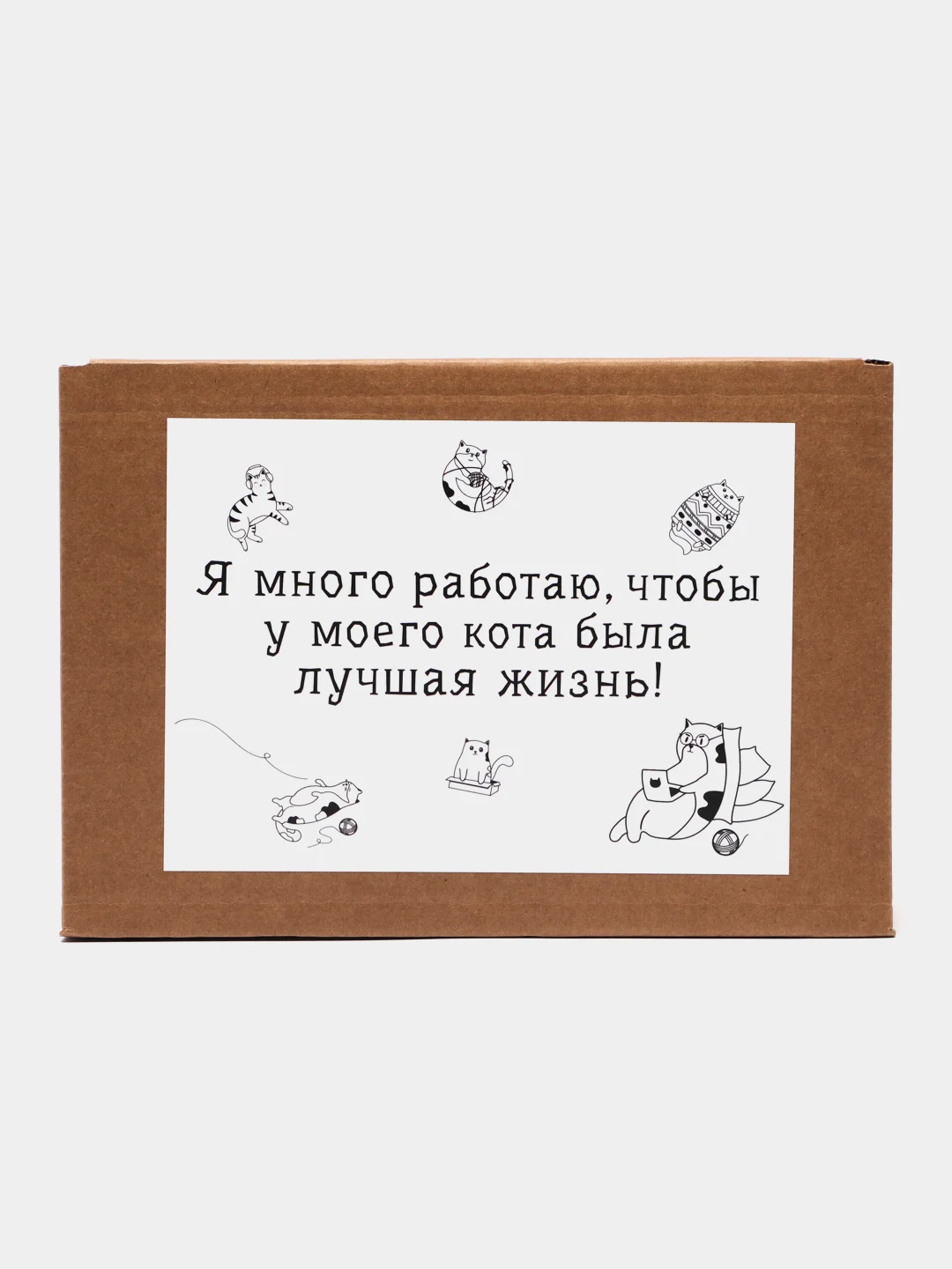 Рыжий подарочный набор Кот (кружка+подушка)