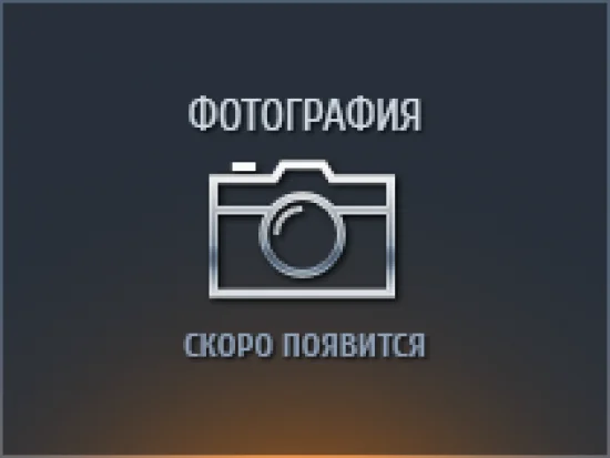 Прозрачный сетка для волос на бублик "Кубышка"