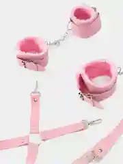 Розовый набор БДСМ из 10 предметов