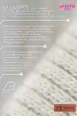 Бежевый водолазка детская для мальчика для девочки, с начесом, в школу садик
