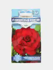 Семена цветов Бегония "Вишневый фонтан"