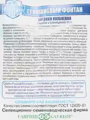 Семена цветов Бегония "Вишневый фонтан"