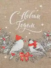 Подарочный мешок новогодний, с термонаклейкой