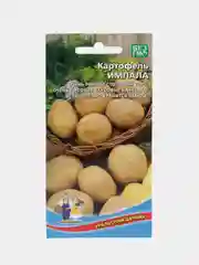 Семена Картофель "Импала"