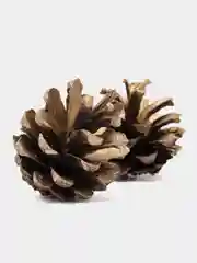 Шишка для декорирования новый год
