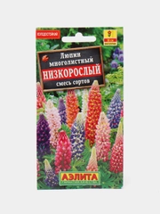 Семена Люпин многолистный "Низкорослый", смесь сортов