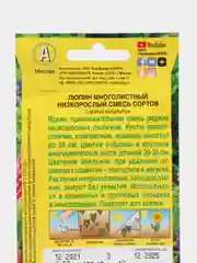 Семена Люпин многолистный "Низкорослый", смесь сортов