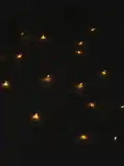 Желтый гирлянда-штора, светодиодная