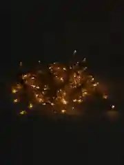 Желтый гирлянда-штора, светодиодная