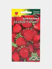 Семена Земляника "Лесной гигант"