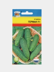 Семена Огурец "Герман F1", 8 штук, Урожай удачи
