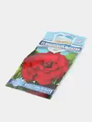 Семена цветов Бегония "Вишневый фонтан"