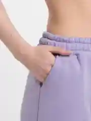 Лавандовый штаны женские спортивные, на резинке, утепленные, с начесом