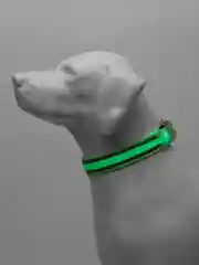 Зеленый светодиодный LED ошейник для собак (батарейка в комплекте), светящийся ошейник, 3 размера