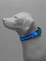 Голубой светодиодный LED ошейник для собак (батарейка в комплекте), светящийся ошейник, 3 размера
