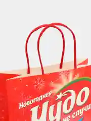 Конфетный пакет подарочный Сучий год, 22 х 22 х 11 см