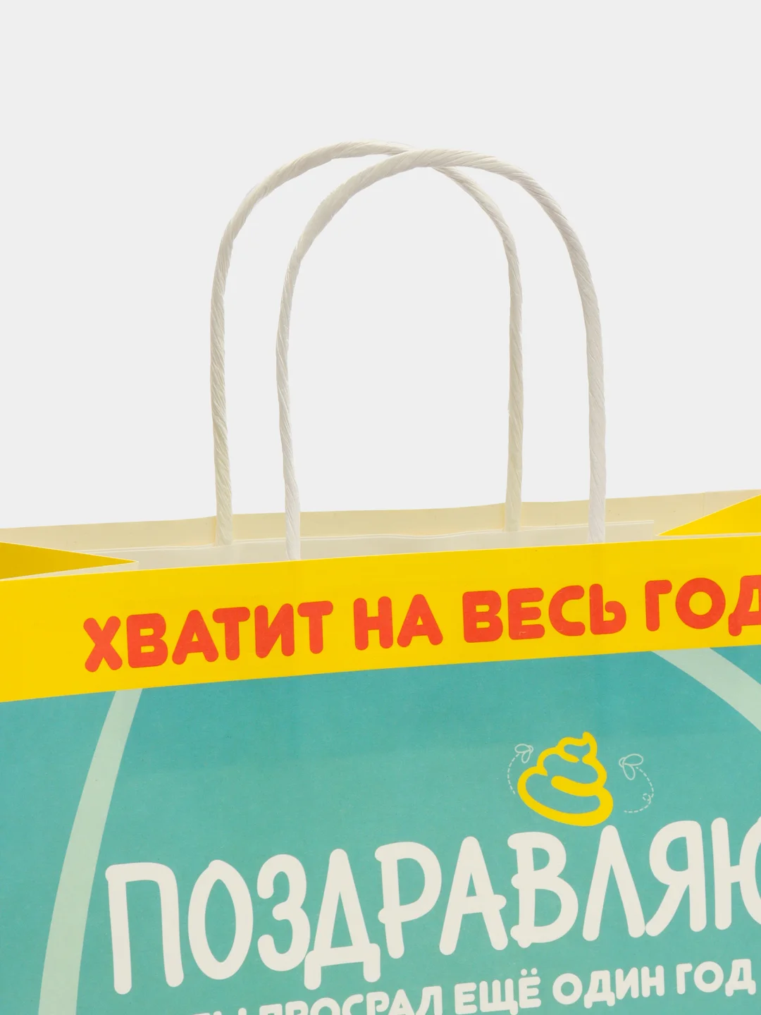 Бирюзовый пакет подарочный Сучий год, 22 х 22 х 11 см