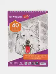 Скетчбук BRAUBERG ART "DEBUT", белая бумага, 120 г/м2, 145 х 205 мм, 40 листов