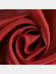 Красный вуаль на кулиске