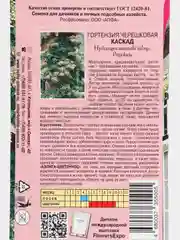 Семена цветов Гортензия "Каскад черешковая"