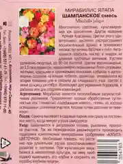 Мирабилис Шампанское, семена, цветы