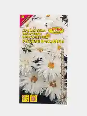 Семена цветов Хризантема "Русская красавица"