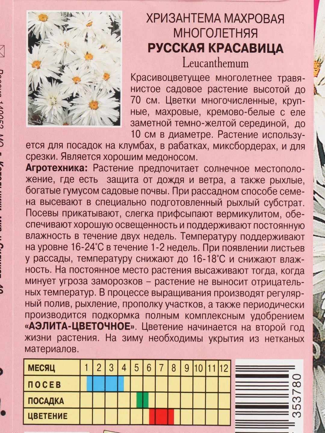 Семена цветов Хризантема "Русская красавица"