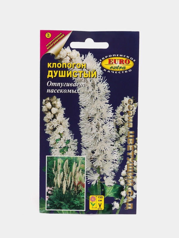Клопогон душистый (семена,цветы)