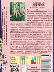 Клопогон душистый (семена,цветы)