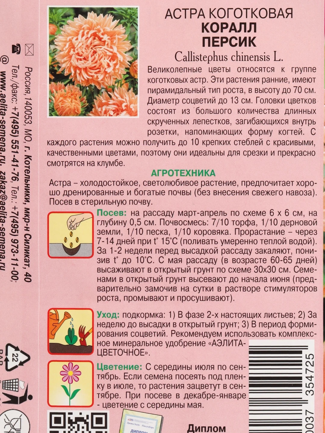 Семена цветов Астра "Коралл персик"