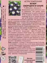 Семена цветов Астра "Велюр смородина в сахаре"